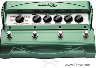 Enlarged view of image